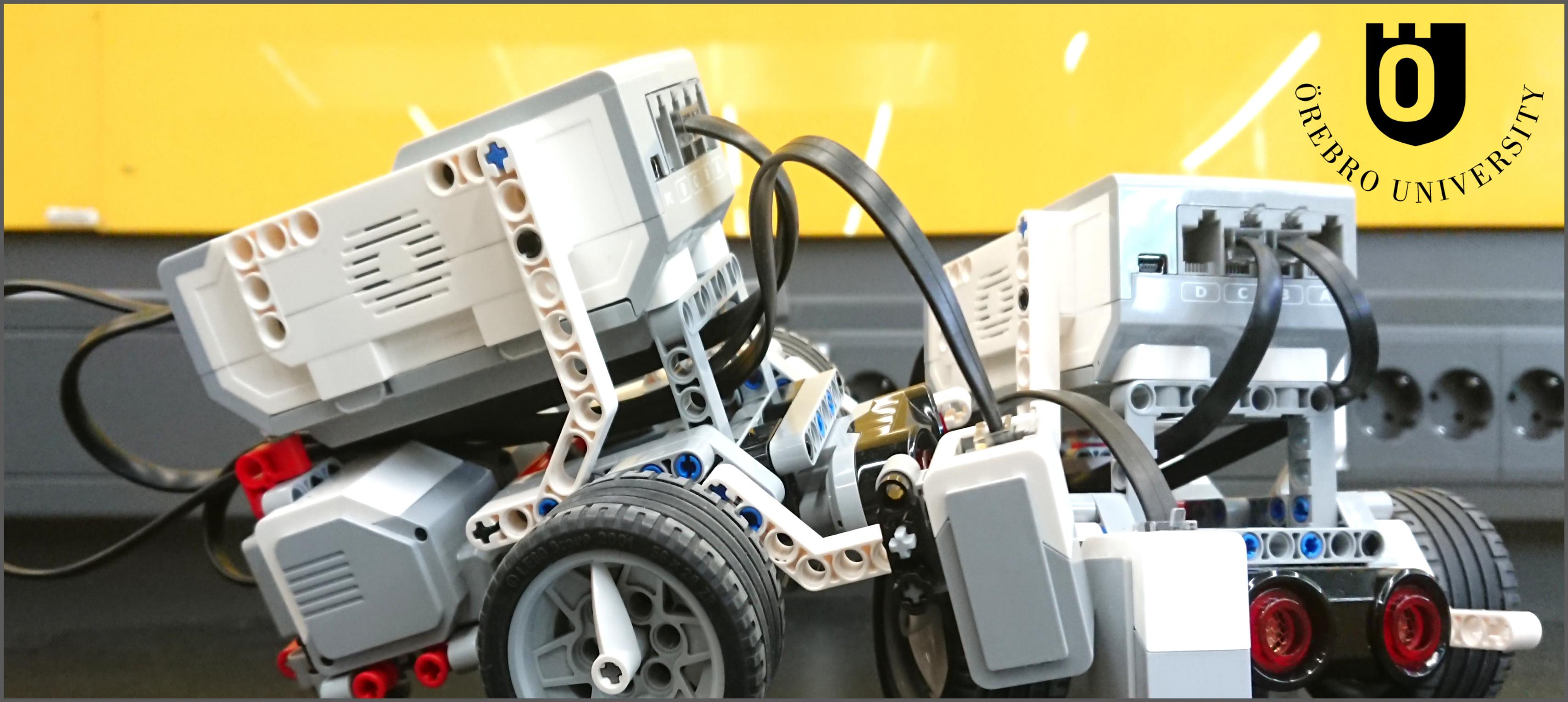 Summer School in Robotics banner